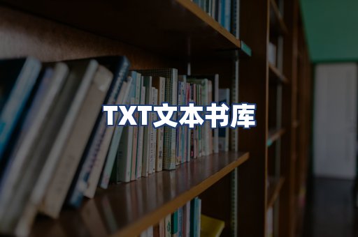 TXT文本书库